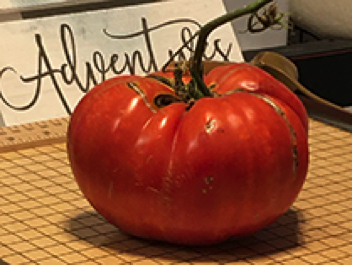 greek rose heirloom tomato